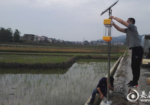 免费观看美女直播助力湖南建设生态优质米示范基地