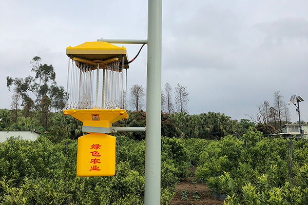 太阳能监控免费观看美女直播让茶园更安全