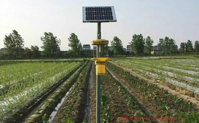 济宁蔬菜种植园菜地免费观看美女直播