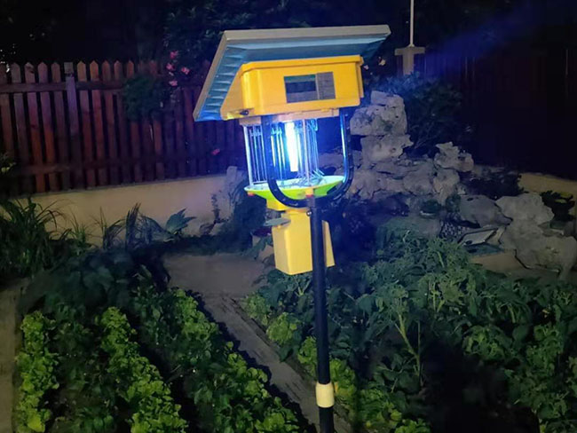 LED免费观看美女直播详解