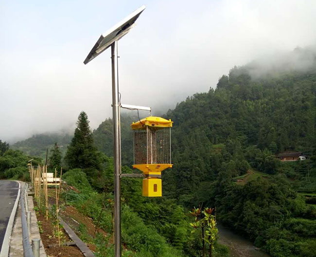 高杆户外太阳能农用杀虫灯，原理和效果解读