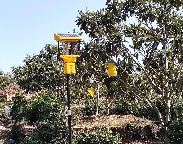 果园杀虫灯有效果吗