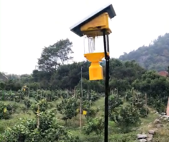 果园杀虫灯每亩几个，效果怎么样